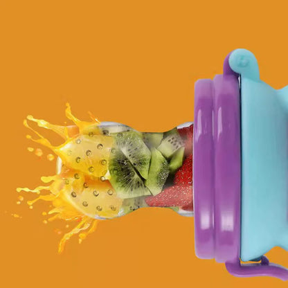 Baby Fruit Feeder Pacifier & Silicone Teether